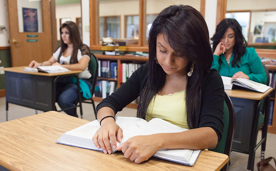 Shards of Broken Beauty