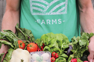 Common Questions Image