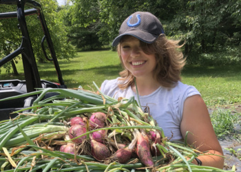Intern, Mentor, Seed Sower